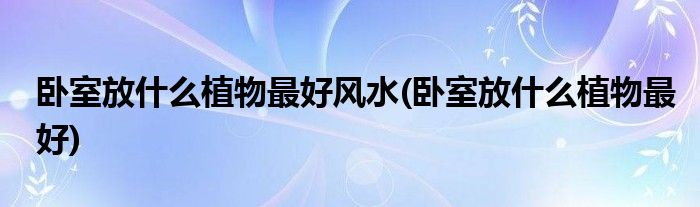 小郑：卧室放什么植物最好风水，你知道吗