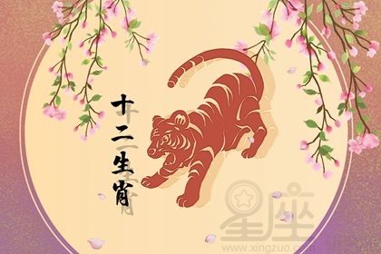 男狗女猪属相相配吗_属猪女和属狗的婚姻_狗与猪属相相配吗