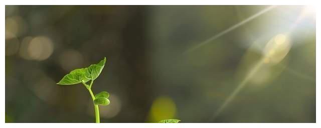 周易学习运用_周易的运用_周易如何应用