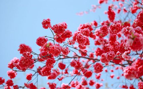 十月份的订婚黄道吉日_2019年l月黄道装修吉日_黄道搬家吉日