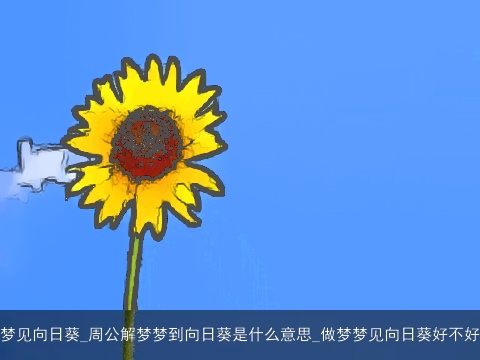 梦见向日葵_周公解梦梦到向日葵是什么意思_做梦梦见向日葵好不好