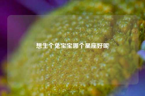 想生个兔宝宝哪个星座好，以及对应的知识点