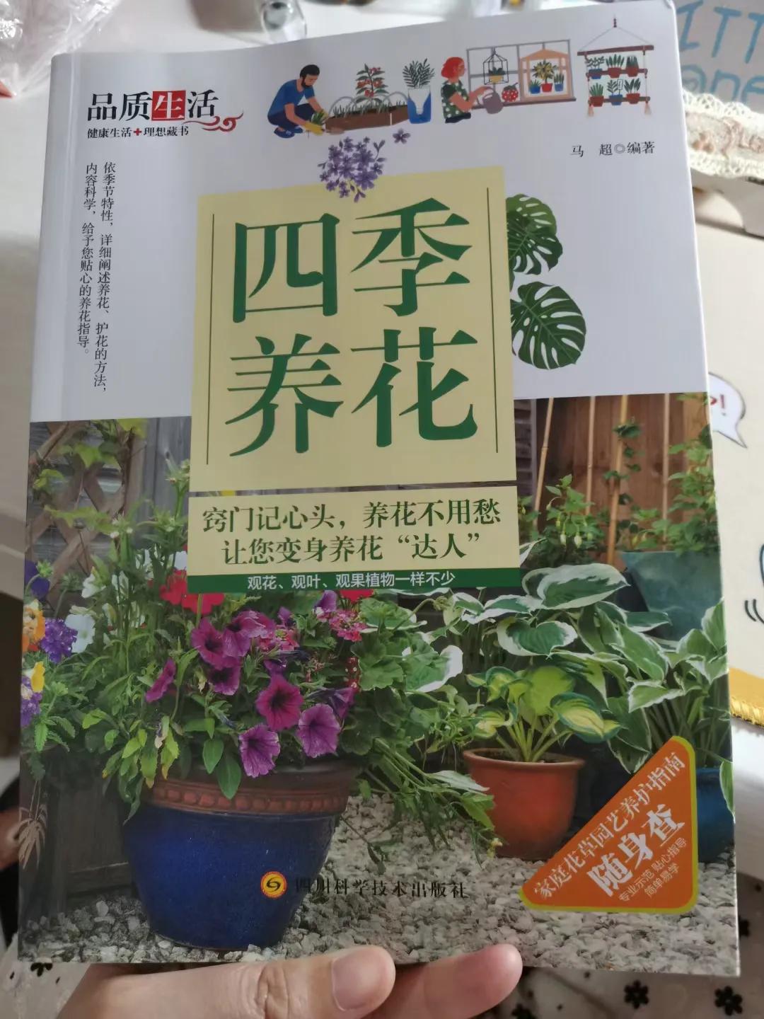 阳台做梦种植物梦见蛇_梦到阳台种的植物很旺盛_做梦梦见在阳台种植物