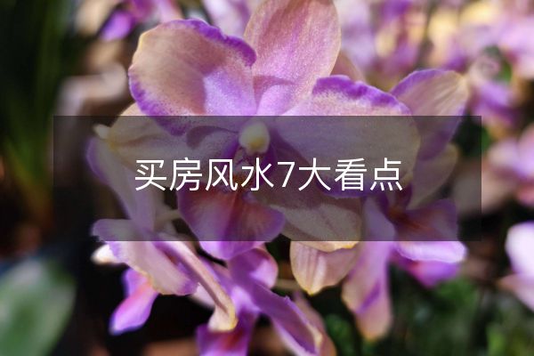 买房风水7大看点