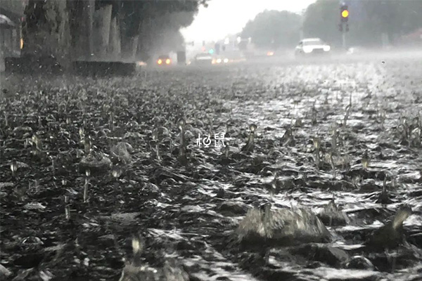 梦到下雨是生女孩的征兆