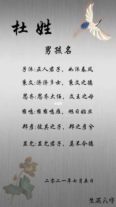 属鸡姓杜男孩名字_姓男孩鸡杜属名字怎么取_男孩名字姓杜大全